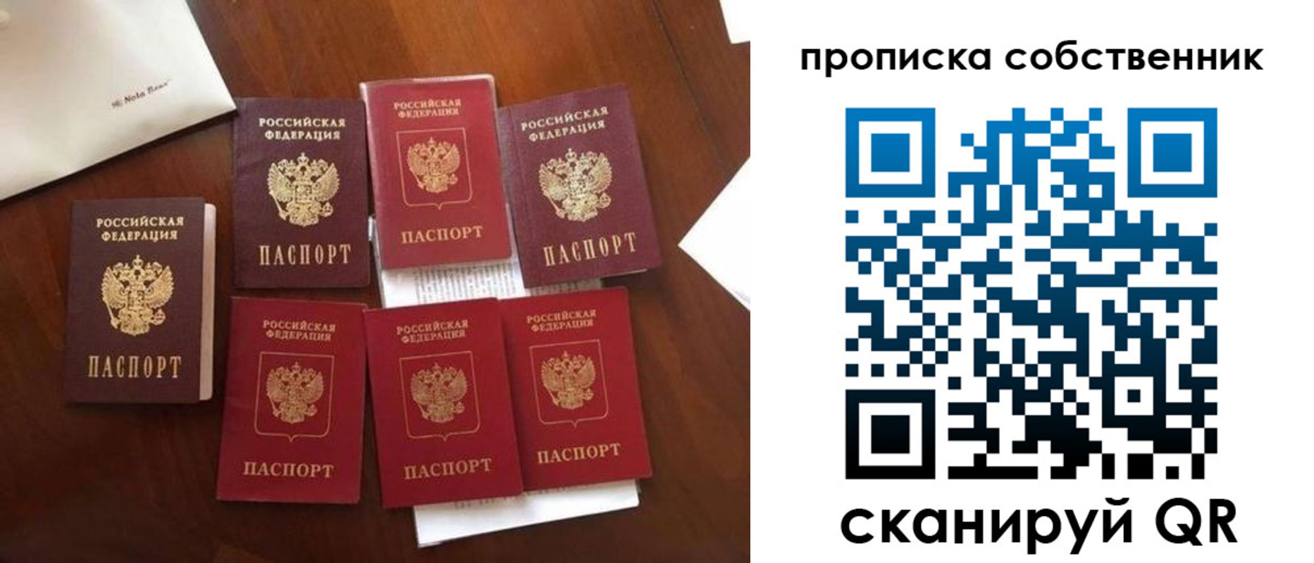 прописка для школы в Новгородской области